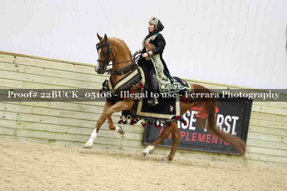 Proof 22BUCK_05108