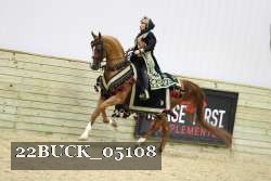22BUCK_05108 proof