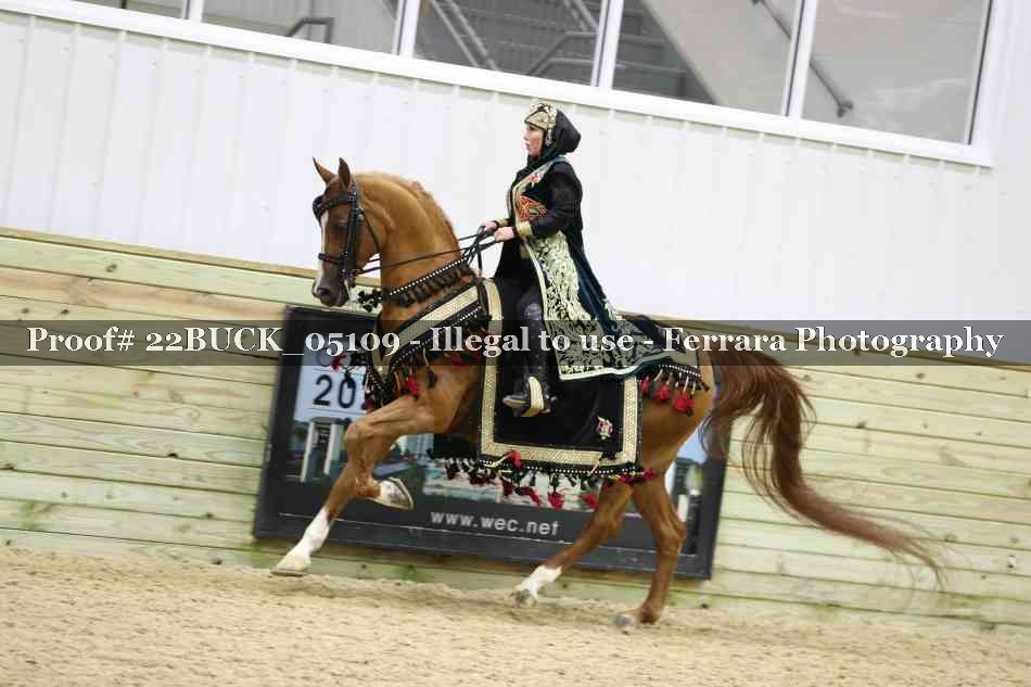 Proof 22BUCK_05109