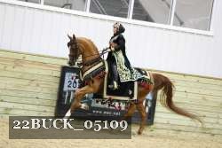 22BUCK_05109 proof
