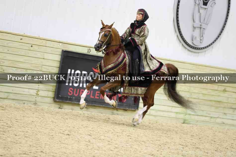Proof 22BUCK_05110