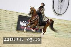 22BUCK_05110 proof