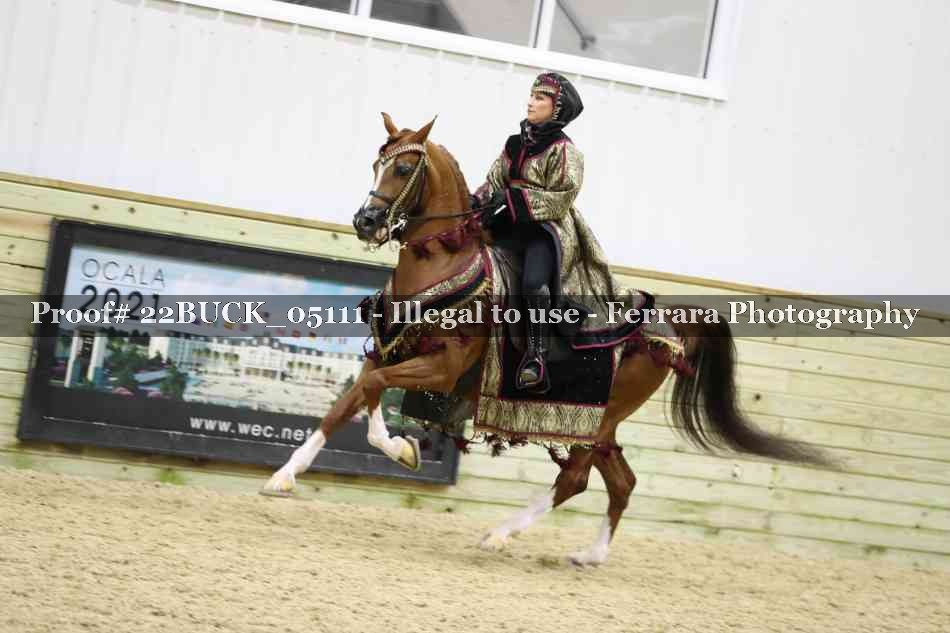 Proof 22BUCK_05111