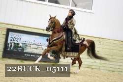 22BUCK_05111 proof