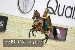 22BUCK_05112 proof