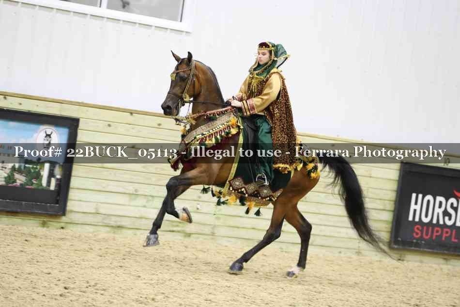 Proof 22BUCK_05113