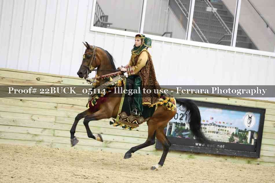 Proof 22BUCK_05114