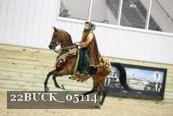 22BUCK_05114 proof