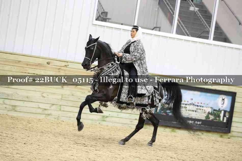 Proof 22BUCK_05115