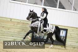 22BUCK_05117 proof