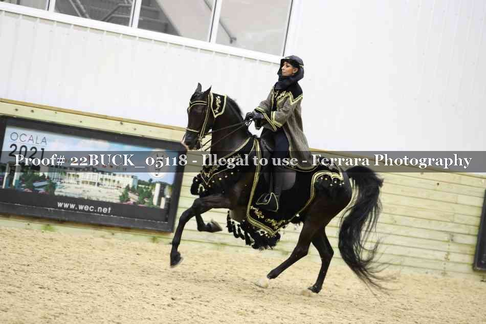 Proof 22BUCK_05118