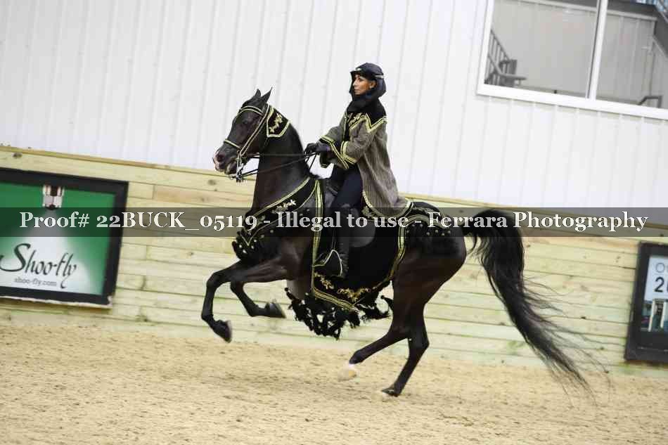Proof 22BUCK_05119