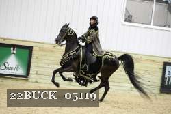 22BUCK_05119 proof