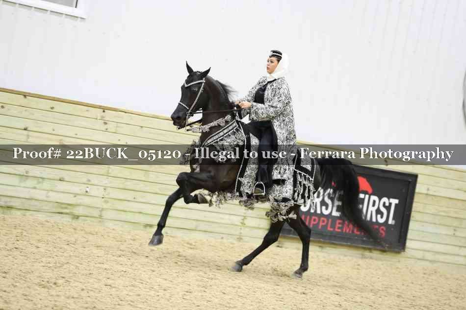 Proof 22BUCK_05120