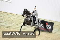 22BUCK_05120 proof