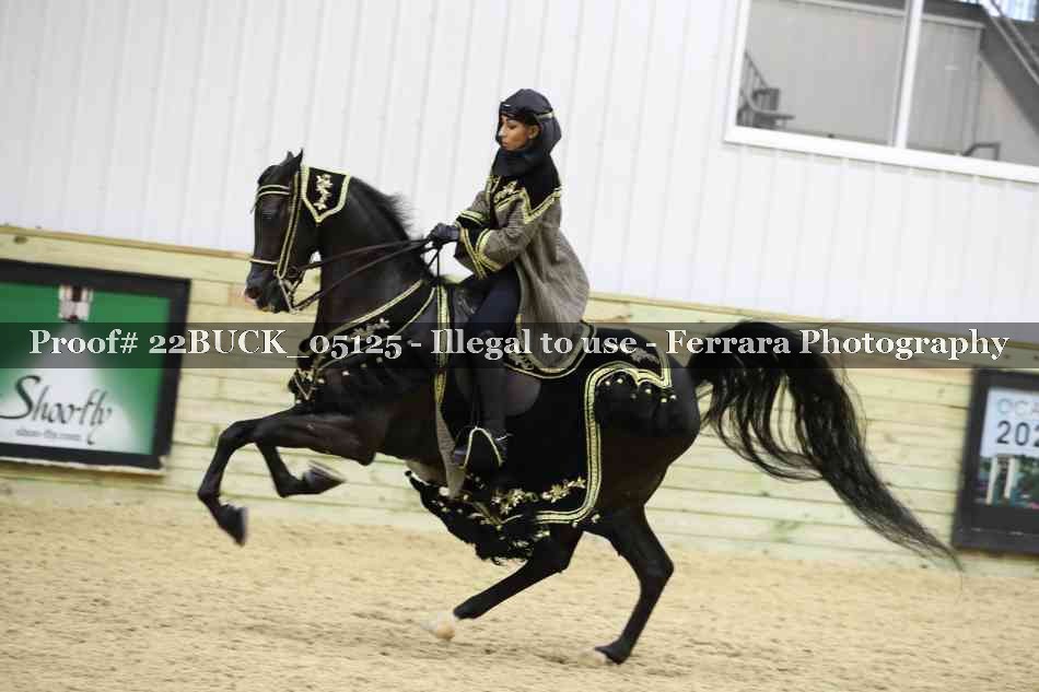 Proof 22BUCK_05125