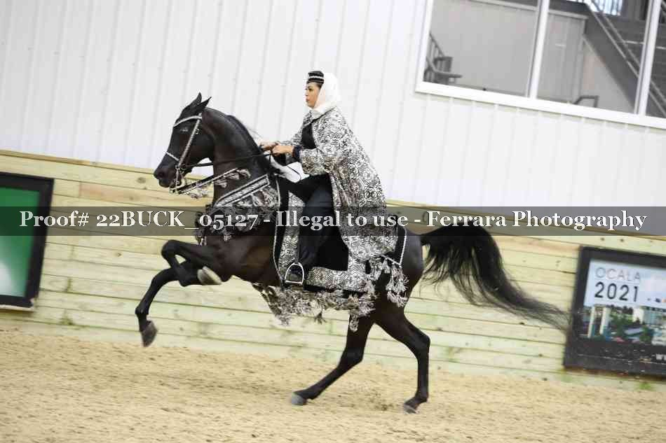 Proof 22BUCK_05127