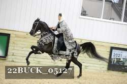 22BUCK_05127 proof