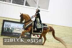 22BUCK_05130 proof