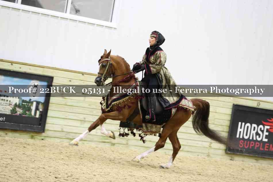 Proof 22BUCK_05131