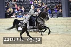 22BUCK_05132 proof