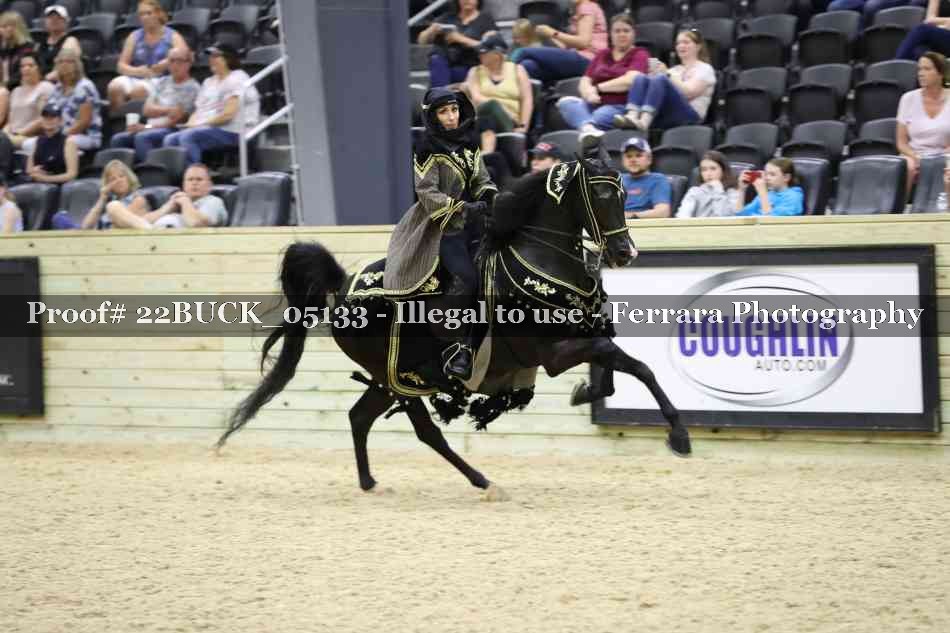 Proof 22BUCK_05133