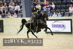 22BUCK_05133 proof