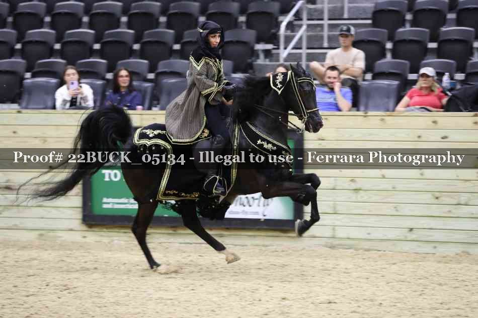 Proof 22BUCK_05134