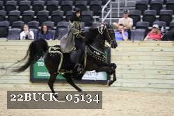 22BUCK_05134 proof