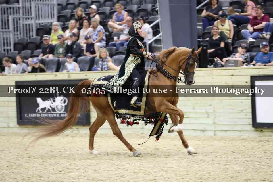 Proof 22BUCK_05135