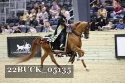 22BUCK_05135 proof