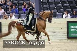 22BUCK_05136 proof