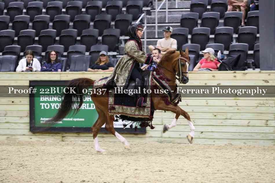 Proof 22BUCK_05137