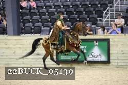 22BUCK_05139 proof