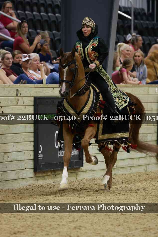 Proof 22BUCK_05140