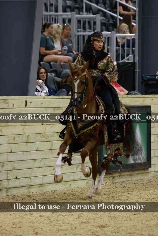 Proof 22BUCK_05141
