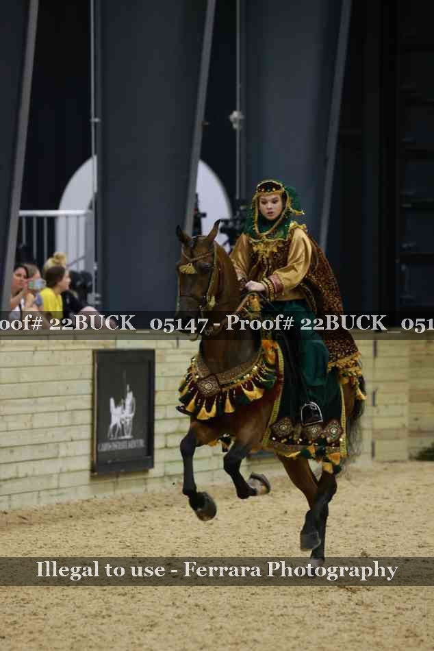 Proof 22BUCK_05147