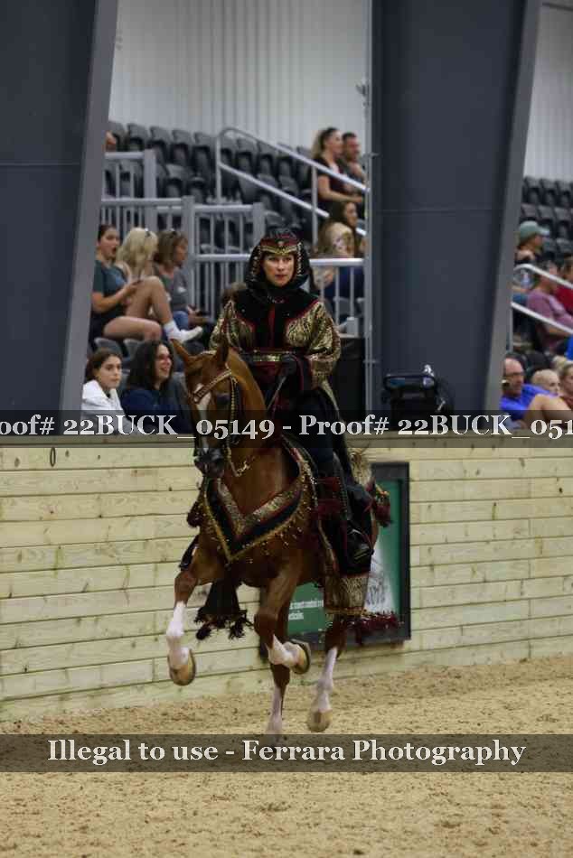 Proof 22BUCK_05149