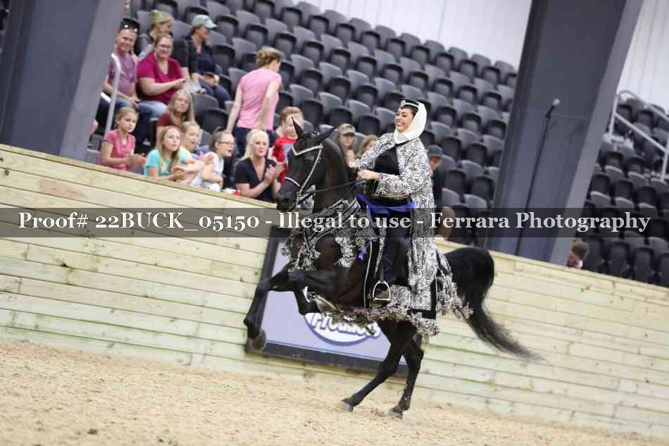 Proof 22BUCK_05150