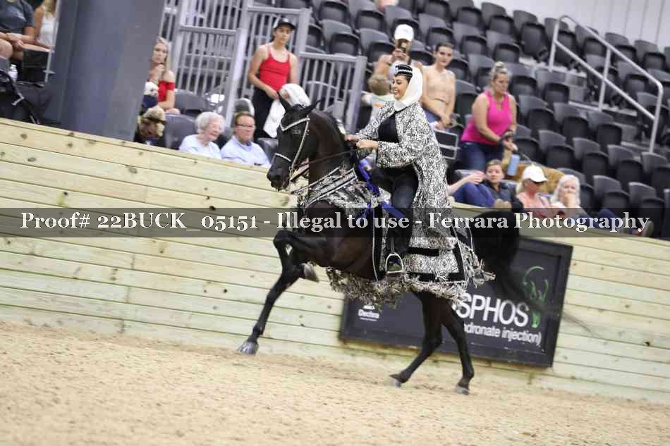 Proof 22BUCK_05151