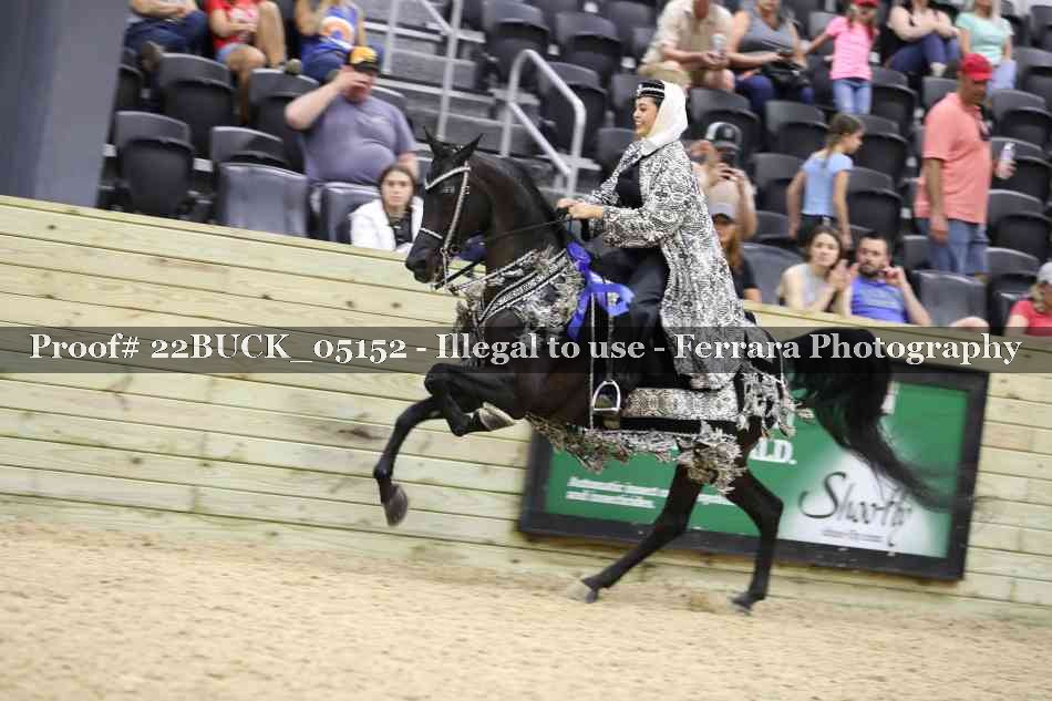 Proof 22BUCK_05152