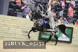 22BUCK_05152 proof