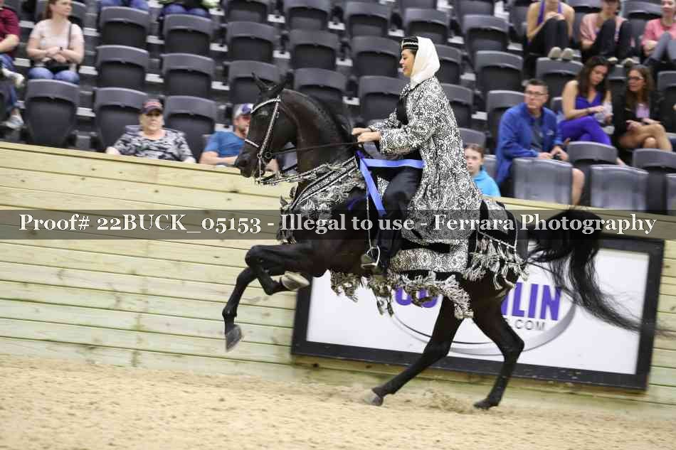 Proof 22BUCK_05153