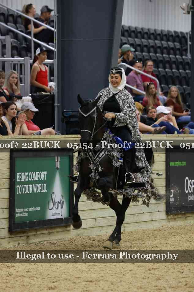 Proof 22BUCK_05154