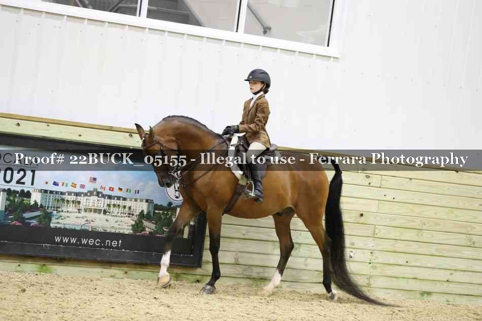 Proof 22BUCK_05155