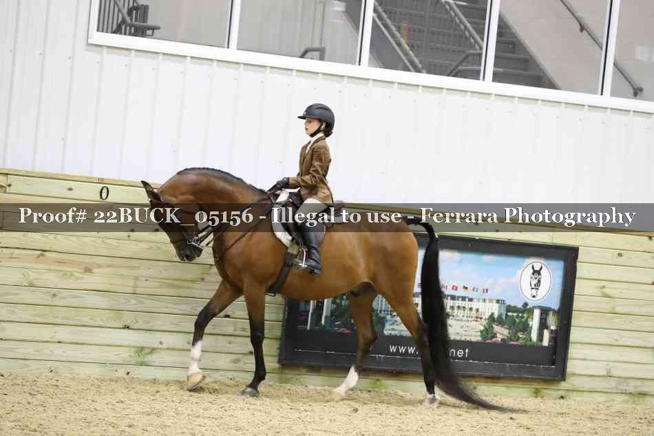 Proof 22BUCK_05156