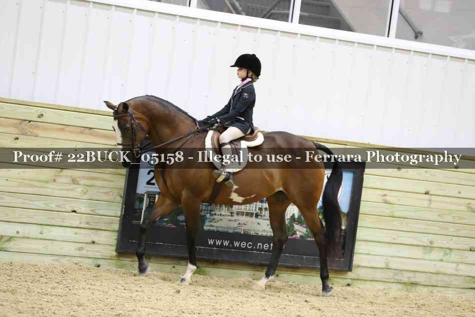 Proof 22BUCK_05158