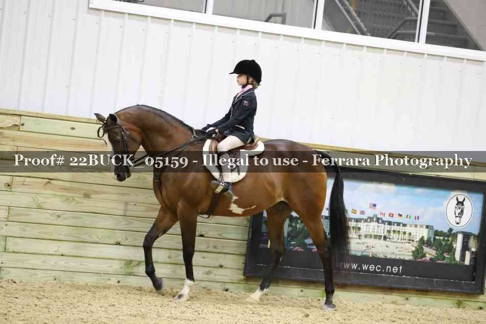 Proof 22BUCK_05159