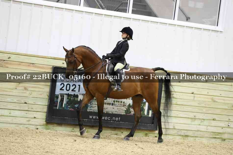 Proof 22BUCK_05160