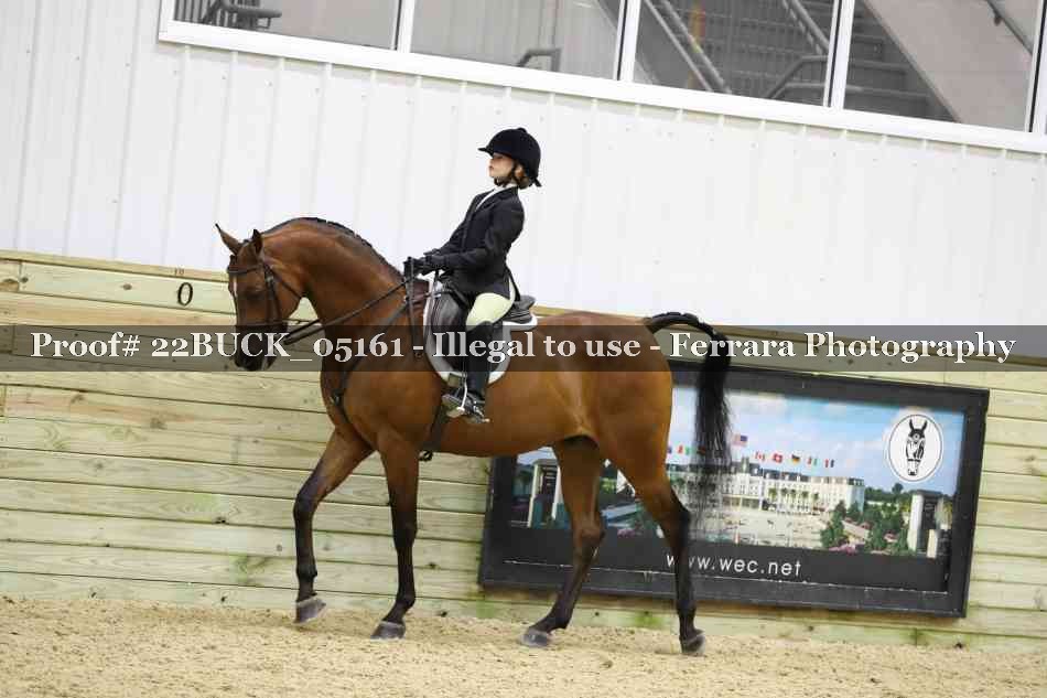 Proof 22BUCK_05161